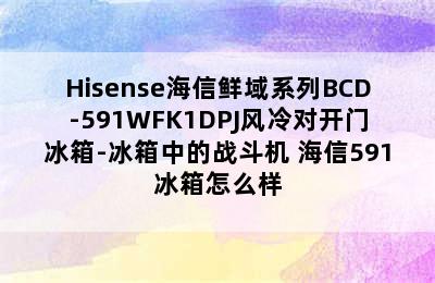 Hisense海信鲜域系列BCD-591WFK1DPJ风冷对开门冰箱-冰箱中的战斗机 海信591冰箱怎么样